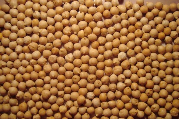 GARBANZO PEDROSILLANO
